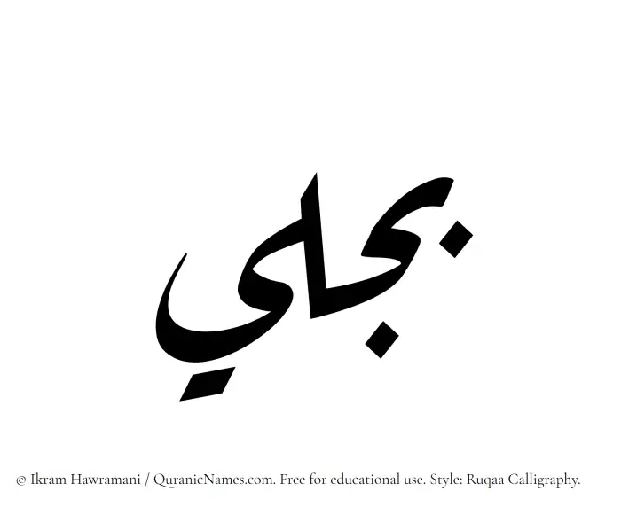 The Muslim name Bajli written in Ruqaa calligraphic script