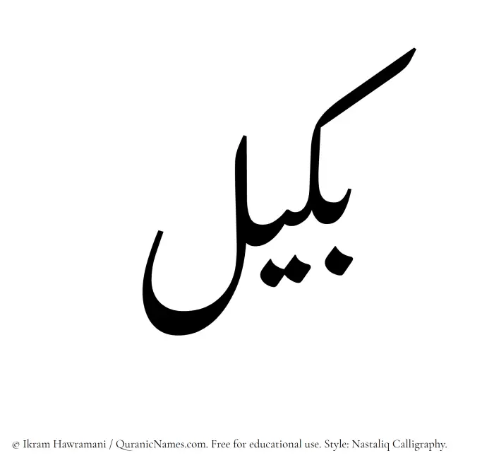 The Muslim name word Bakeel written in Nastaliq calligraphic script