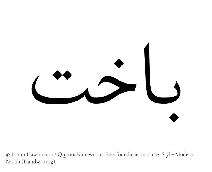 The Muslim name Bakhit written in naskh script