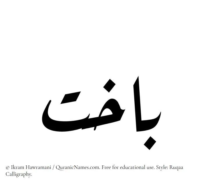 The Muslim name Bakhit written in Ruqaa calligraphic script