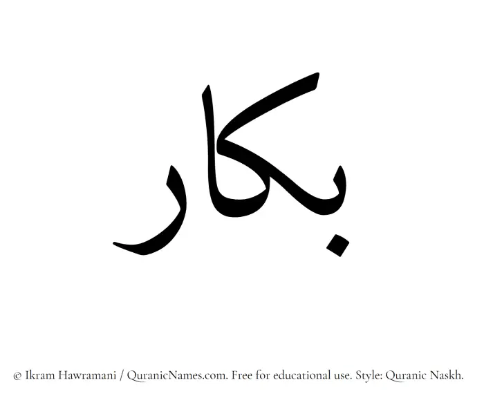 The Muslim name Bakkar written in Quranic naskh script