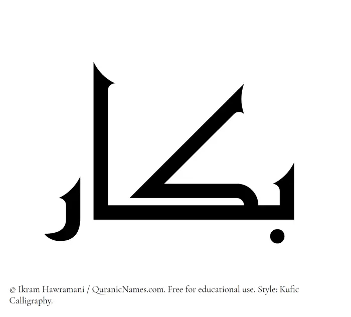 The Muslim name Bakkar written in Kufi/Kufic calligraphic script