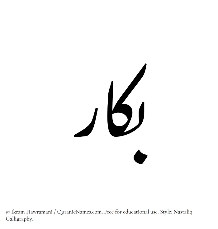 The Muslim name word Bakkar written in Nastaliq calligraphic script