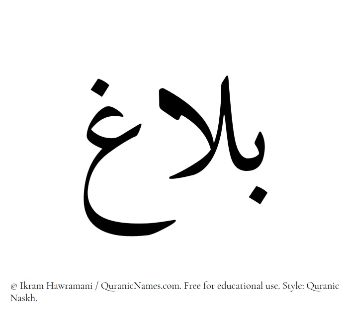 The Muslim name Balagh written in Quranic naskh script