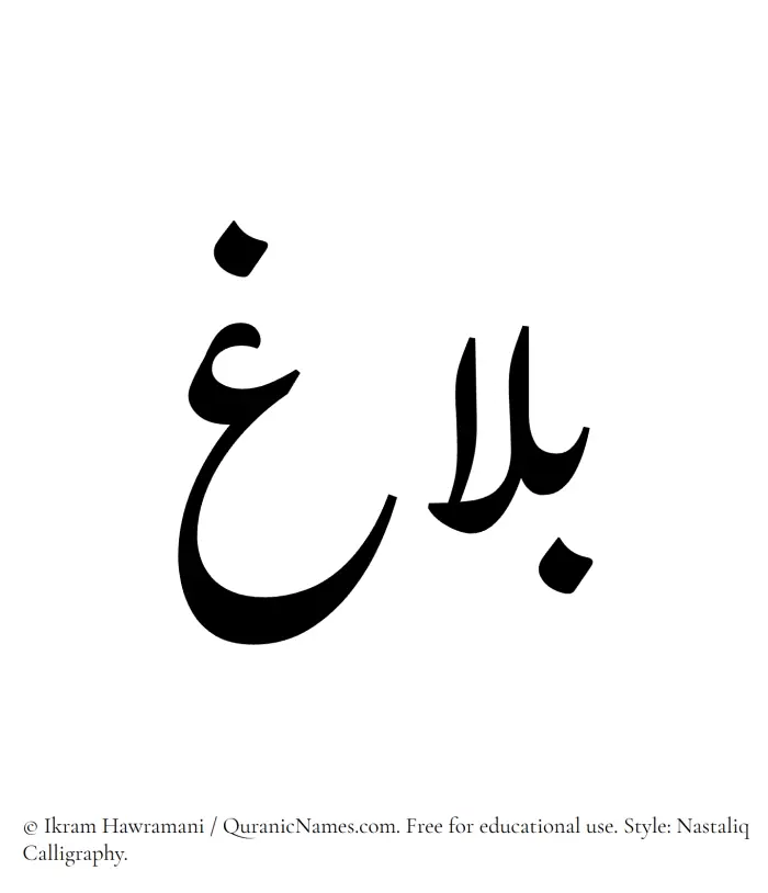 The Muslim name word Balagh written in Nastaliq calligraphic script