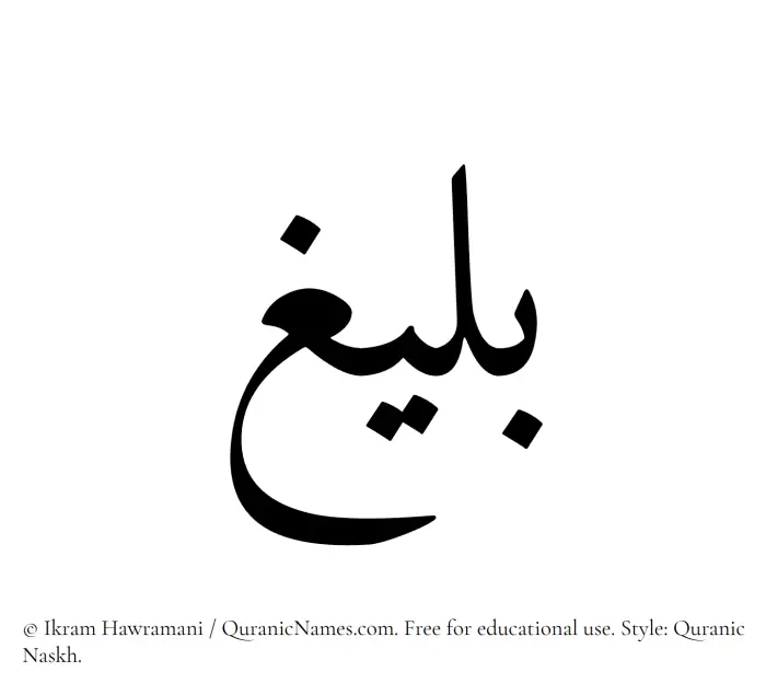 The Muslim name Baleegh written in Quranic naskh script