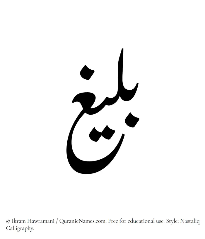 The Muslim name word Baleegh written in Nastaliq calligraphic script