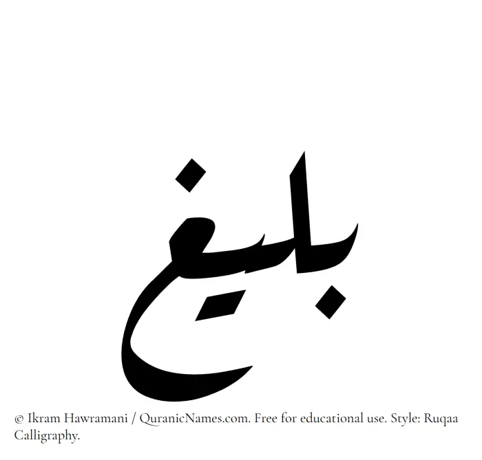 The Muslim name Baleegh written in Ruqaa calligraphic script