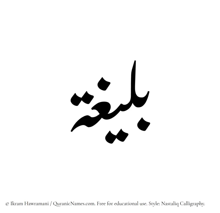 The Muslim name word Baleegha written in Nastaliq calligraphic script