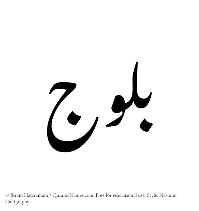 The Muslim name word Balooj written in Nastaliq calligraphic script