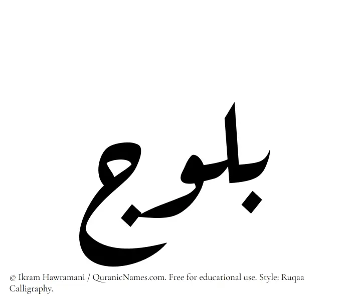 The Muslim name Balooj written in Ruqaa calligraphic script