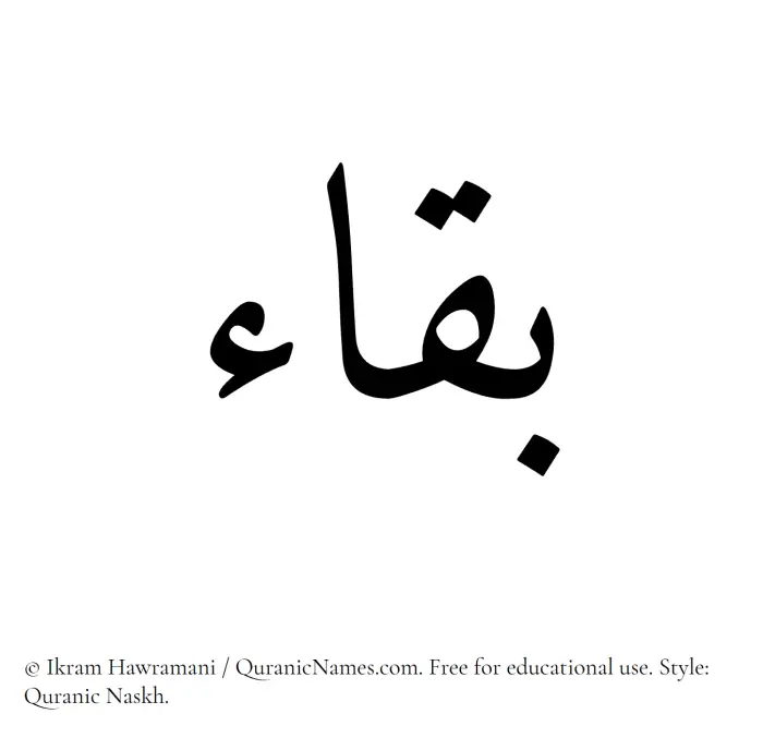The Muslim name Baqa written in Quranic naskh script