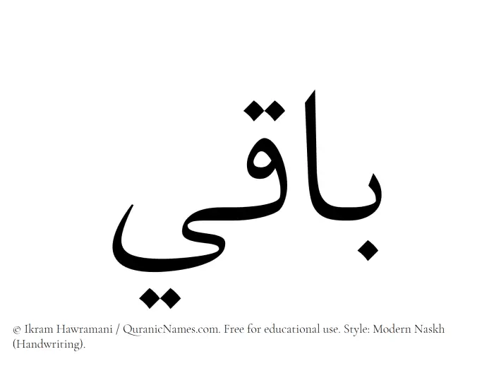 The Muslim name Baqee written in naskh script