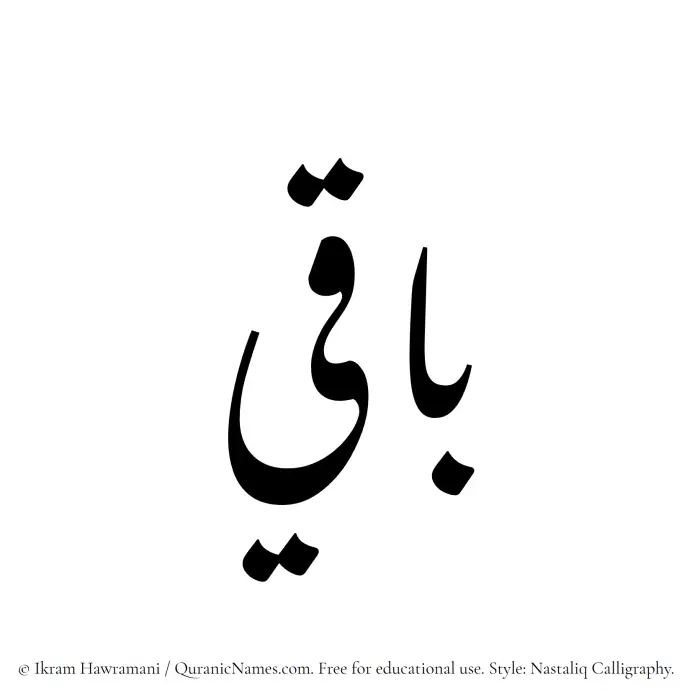 The Muslim name word Baqee written in Nastaliq calligraphic script