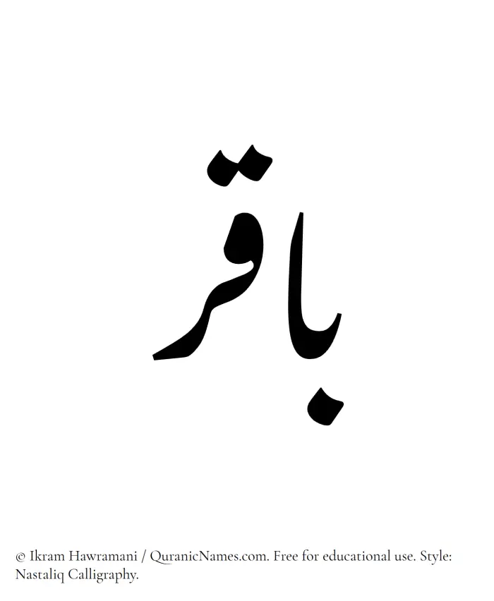The Muslim name word Baqir written in Nastaliq calligraphic script