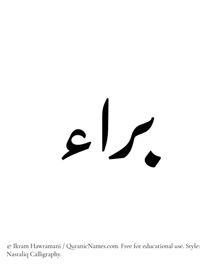 The Muslim name word Baraa written in Nastaliq calligraphic script