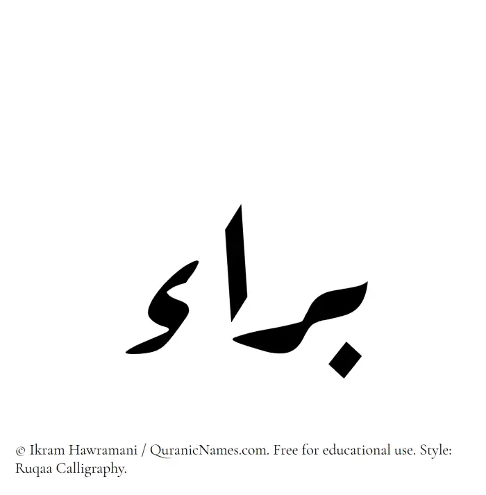 The Muslim name Baraa written in Ruqaa calligraphic script