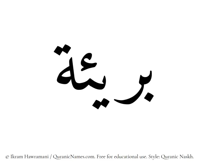The Muslim name Bareea written in Quranic naskh script