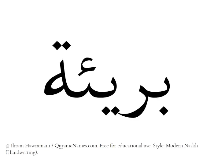 The Muslim name Bareea written in naskh script