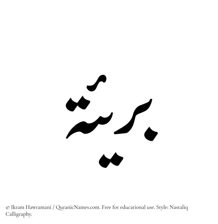 The Muslim name word Bareea written in Nastaliq calligraphic script