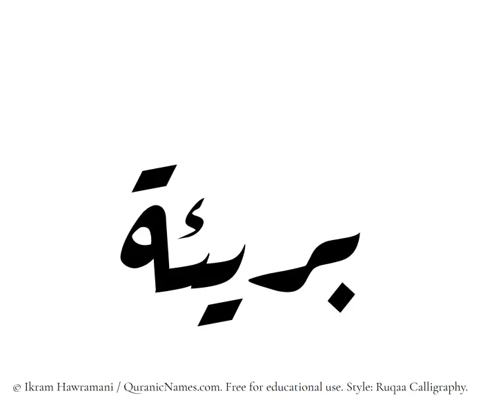 The Muslim name Bareea written in Ruqaa calligraphic script