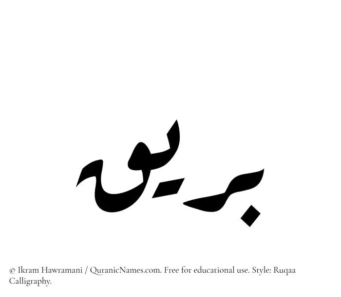 The Muslim name Bareeq written in Ruqaa calligraphic script