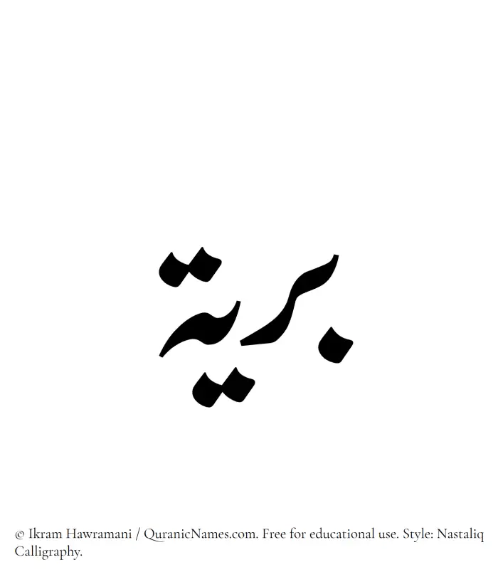 The Muslim name word Bariyya written in Nastaliq calligraphic script