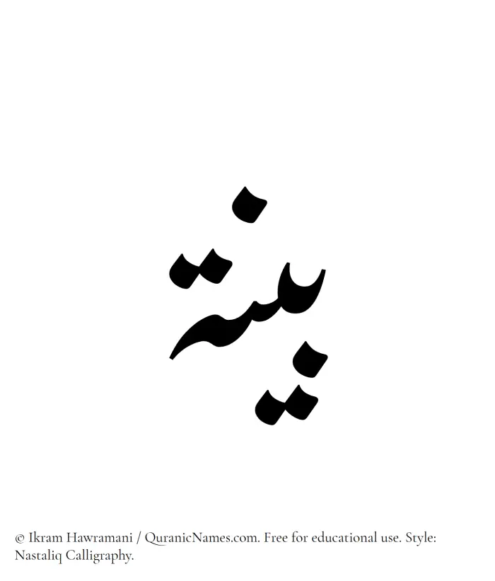 The Muslim name word Bayyina written in Nastaliq calligraphic script