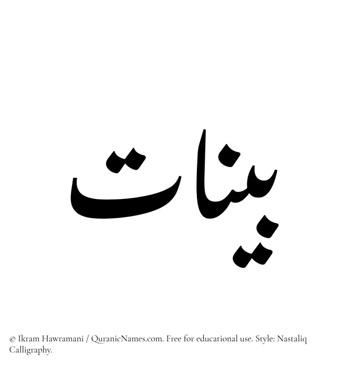 The Muslim name word Bayyinat written in Nastaliq calligraphic script