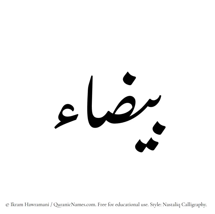 The Muslim name word Bayzaa written in Nastaliq calligraphic script