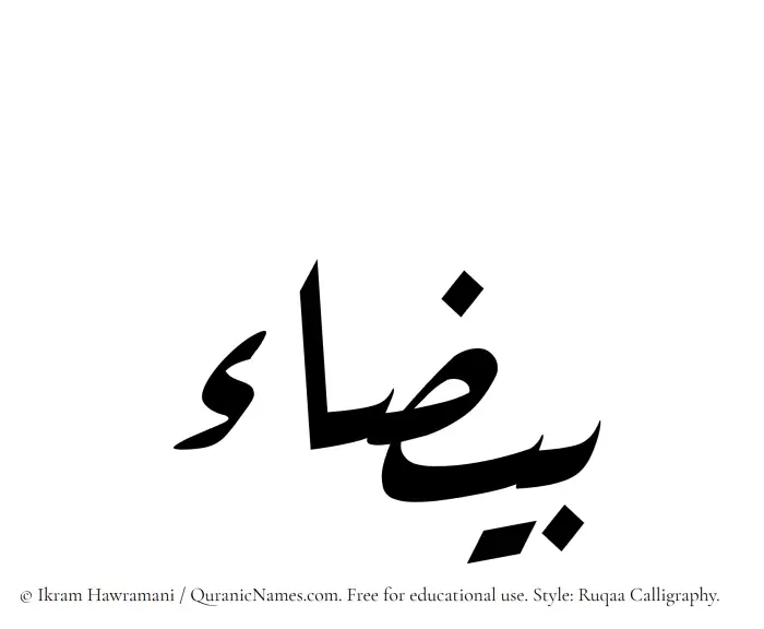 The Muslim name Bayzaa written in Ruqaa calligraphic script