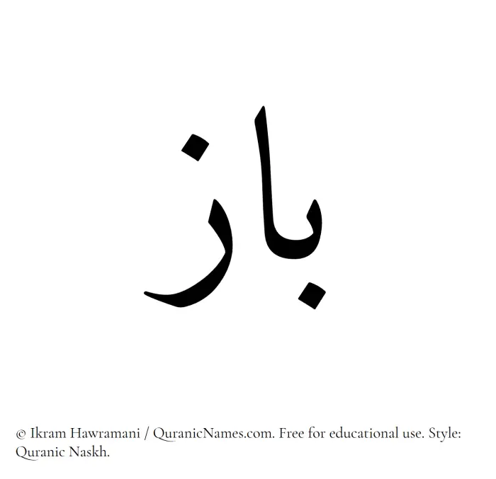The Muslim name Baz written in Quranic naskh script