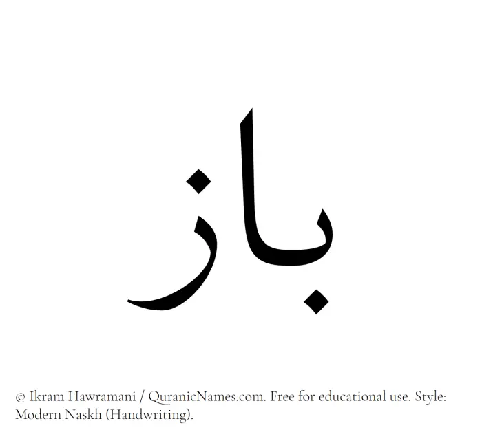 The Muslim name Baz written in naskh script
