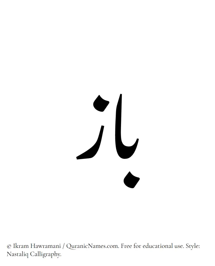 The Muslim name word Baz written in Nastaliq calligraphic script