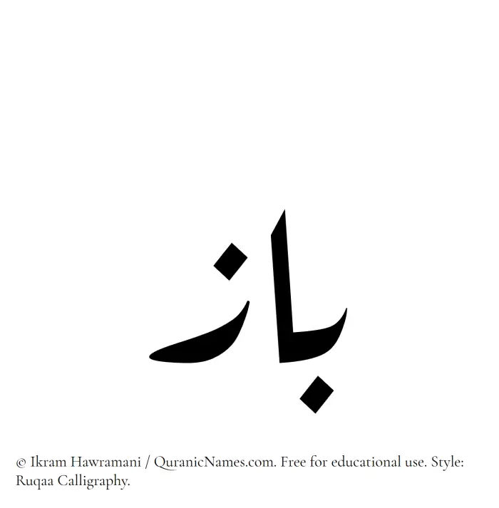 The Muslim name Baz written in Ruqaa calligraphic script