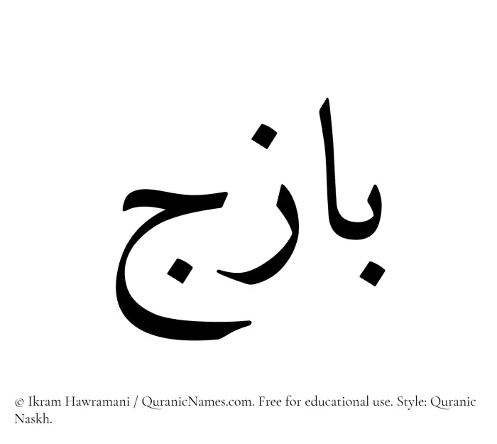 The Muslim name Bazij written in Quranic naskh script