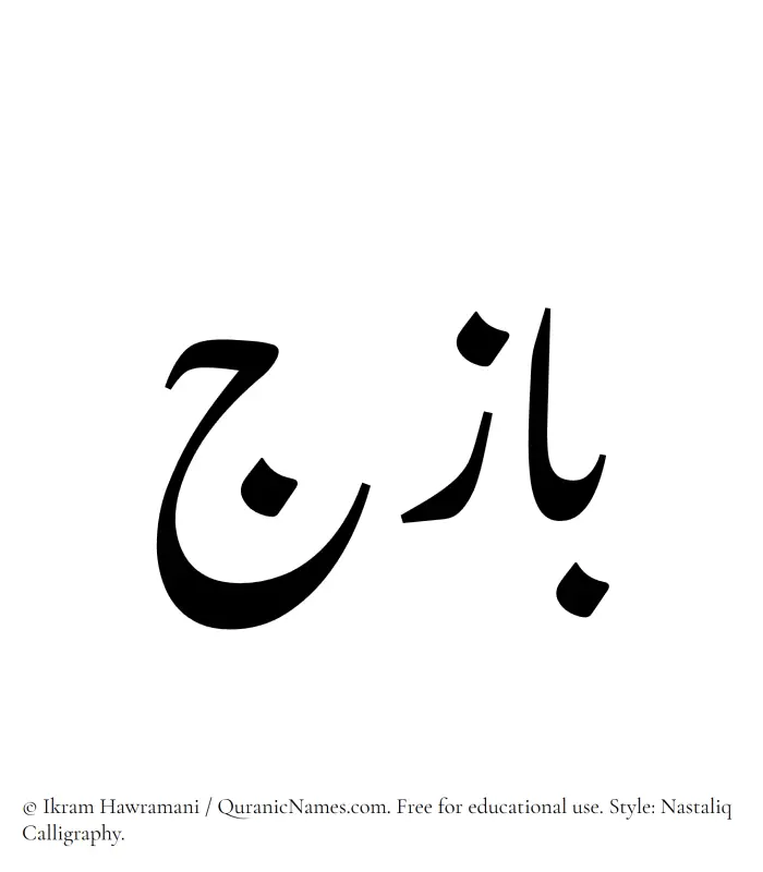 The Muslim name word Bazij written in Nastaliq calligraphic script