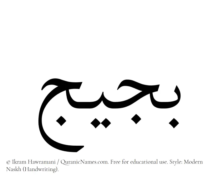 The Muslim name Bujaij written in naskh script
