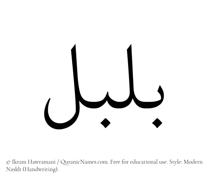 The Muslim name Bulbul written in naskh script