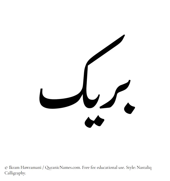 The Muslim name word Buraik written in Nastaliq calligraphic script