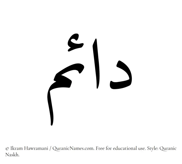 The Muslim name Daaem written in Quranic naskh script