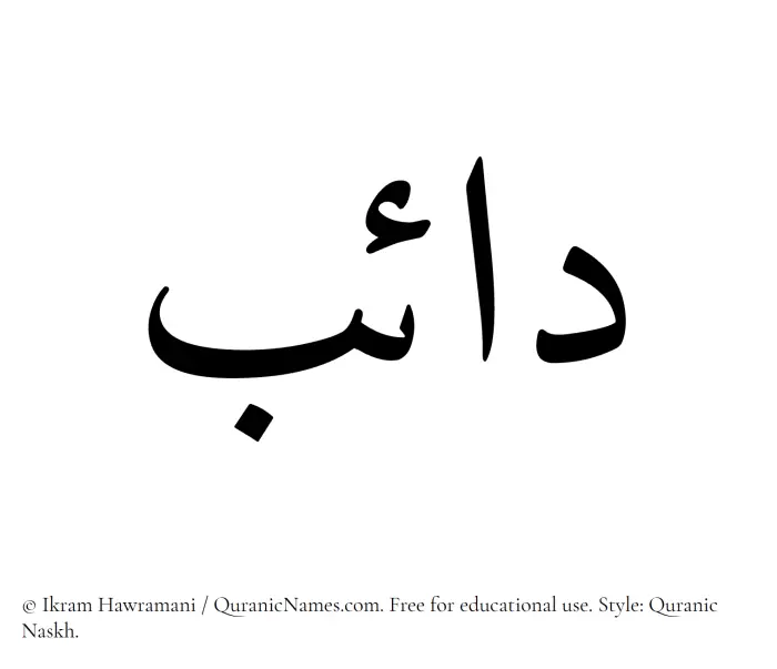 The Muslim name Daeb written in Quranic naskh script