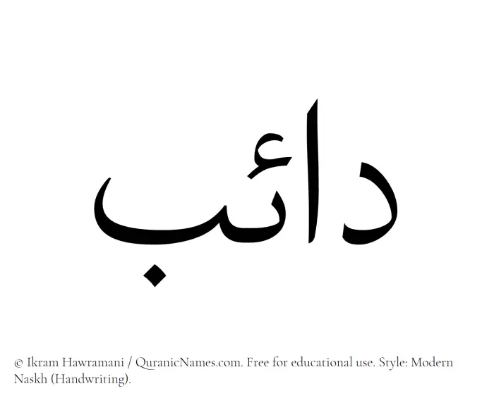 The Muslim name Daeb written in naskh script