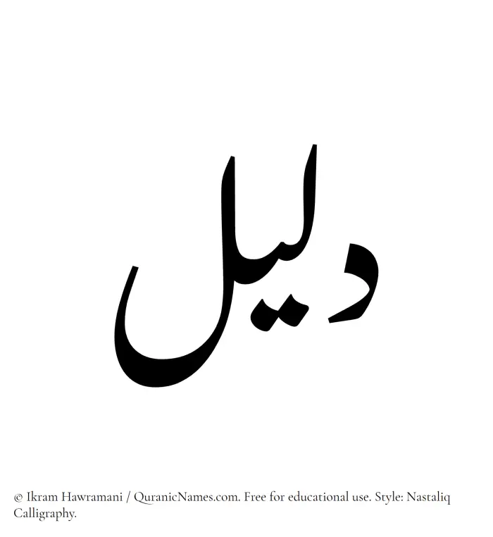 The Muslim name word Daleel written in Nastaliq calligraphic script