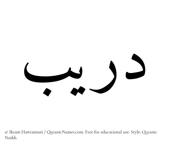 The Muslim name Dareeb written in Quranic naskh script