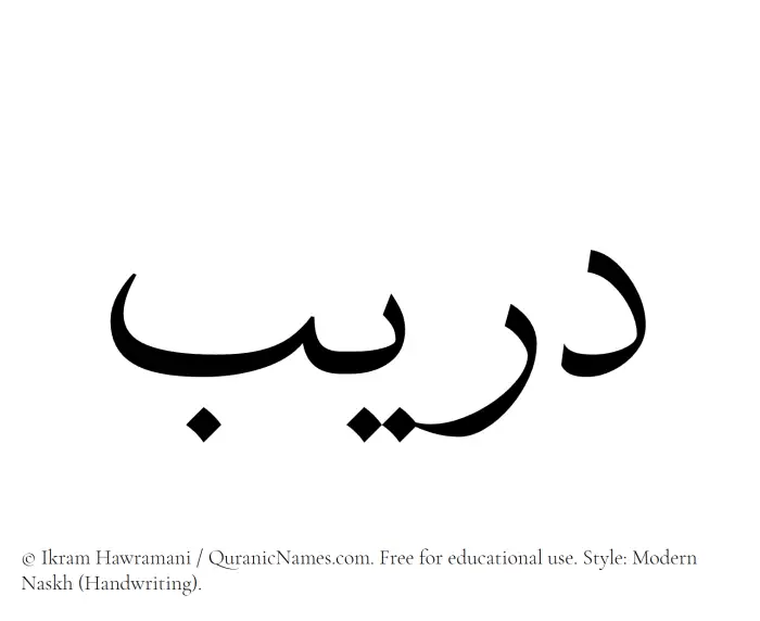 The Muslim name Dareeb written in naskh script