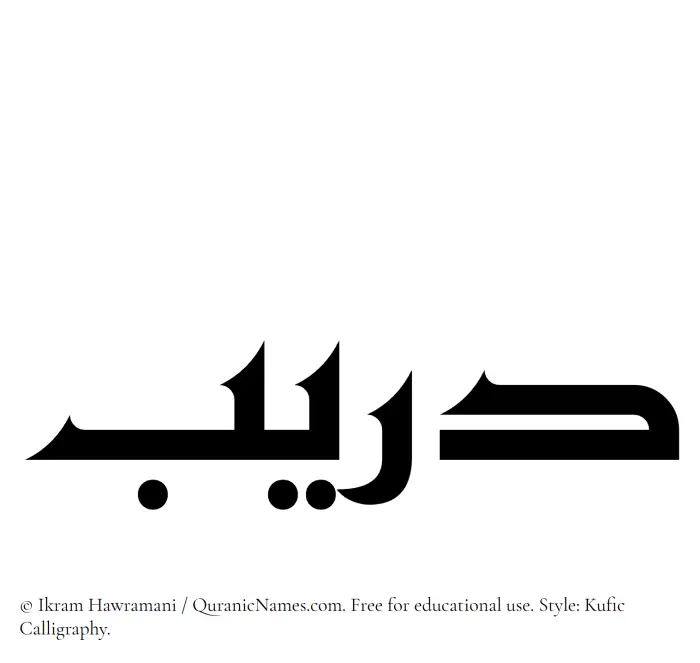 The Muslim name Dareeb written in Kufi/Kufic calligraphic script