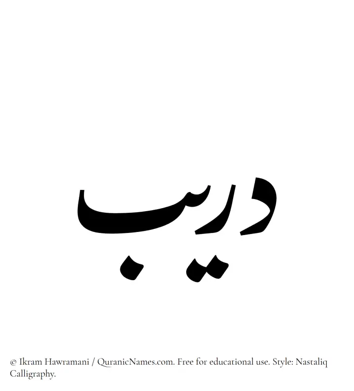 The Muslim name word Dareeb written in Nastaliq calligraphic script