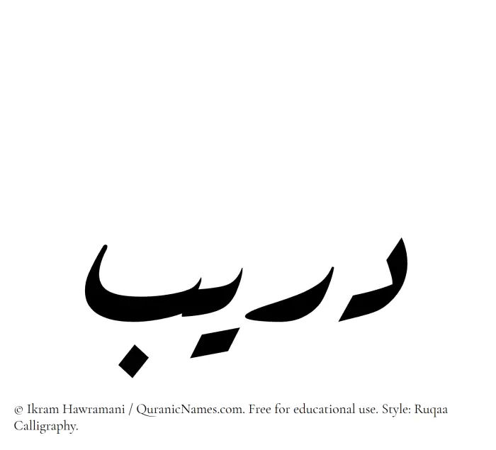 The Muslim name Dareeb written in Ruqaa calligraphic script