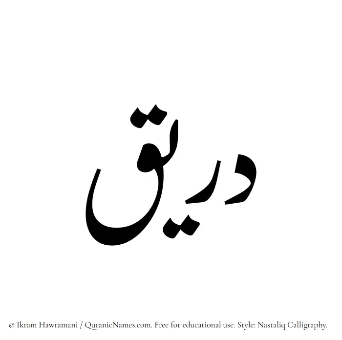 The Muslim name word Dareeq written in Nastaliq calligraphic script